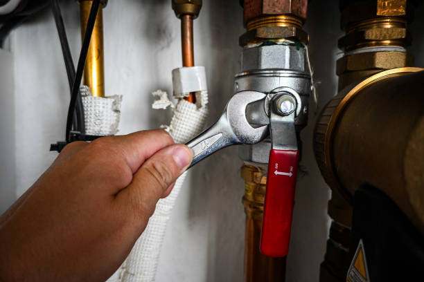 Best Affordable Plumbing Services  in Maple Park, IL
